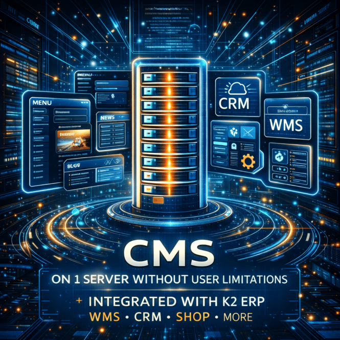 CMS: економіка впровадження K2 ERP для бізнесу 1 cms